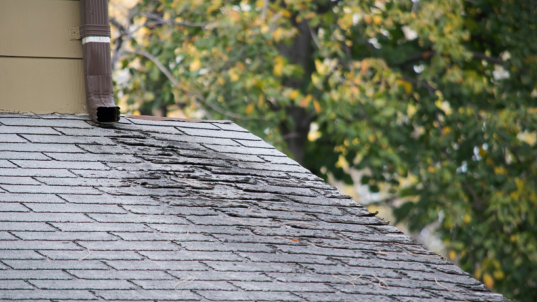 All You Need To Know About Roof Damage Insurance Claims