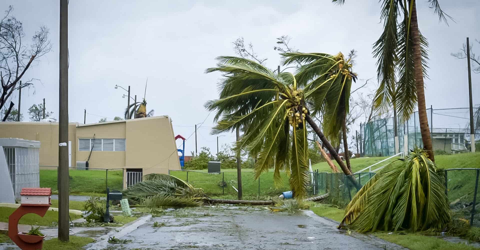 Alconero and Associates - When to use a public adjuster for hurricane insurance claims
